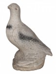 cast stone pigeon