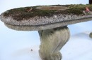 Oval topped cast stone bench retaining its old moss growth
