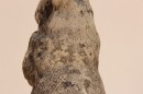 antique cast stone rabbit